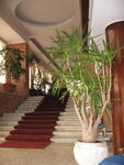 Hotel Duomo Staircase