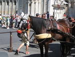 Horse with crocheted hat