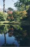 The Gardens at Ninfa