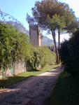 rome2001_kcc 1029_005