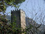 rome2001_kdh ninfa tower - suggestive