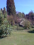 rome2001_kgo 1029_008