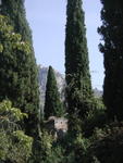 rome2001_khc ninfa cypress with norma