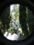 rome2001_khe ninfa cypress with people