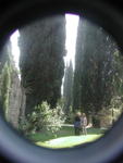 rome2001_khg ninfa cypresses with people
