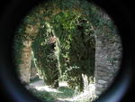 rome2001_khm ninfa archway with cypress