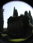 rome2001_kni ninfa vine covered wall 1