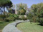 rome2001_koc ninfa lavendar hedge 1