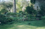rome2001_kpa ninfa copse 2