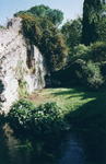 rome2001_kya ninfa pyracanthra