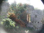 rome2001_kzc ninfa wall w pyracantha