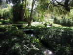 rome2001_ldf ninfa watercourse 2