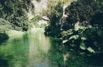 rome2001_lea ninfa stream w rodgersia