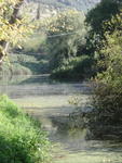 rome2001_lee ninfa stream before gate 1