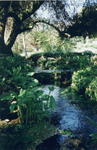 rome2001_lfa ninfa waterfall