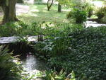 rome2001_lfg ninfa double watercourse 3
