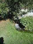 rome2001_lgd ninfa watercourse 1