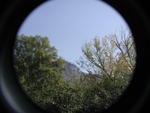 rome2001_lgr ninfa looks to norma