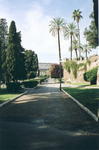 rome2001_gga colosseum top from colle oppio