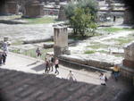 rome2001_gpd forum olive & vine