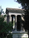 rome2001_mhy fortuna virilis 2