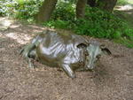 lwood2005_DSC01782