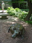lwood2005_DSC01783