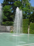 lwood2005_DSC01794