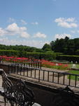 lwood2005_DSC01798