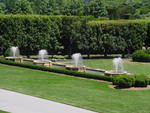 lwood2005_DSC01799