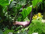 lwood2005_DSC01821