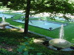 lwood2005_DSC01838