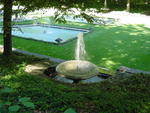 lwood2005_DSC01839
