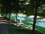 lwood2005_DSC01840