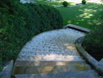 lwood2005_DSC01841