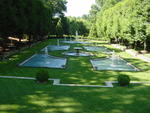 lwood2005_DSC01843