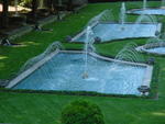 lwood2005_DSC01844