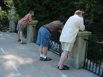 lwood2005_DSC01845