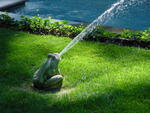 lwood2005_DSC01847