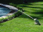 lwood2005_DSC01848