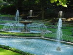 lwood2005_DSC01849