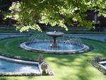 lwood2005_DSC01852