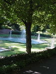 lwood2005_DSC01853