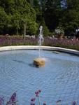 lwood2005_IM001604