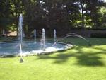 lwood2005_IM001614