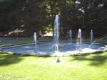 lwood2005_IM001615