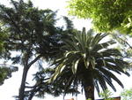 p_Rome2006 219