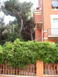 p_Rome2006 222