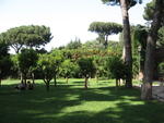 p_Rome2006 228