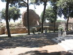 p_Rome2006 153